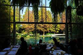 彰化田尾 菁芳園落羽松 小黑的旅行誌 痞客邦 water features garden decor water