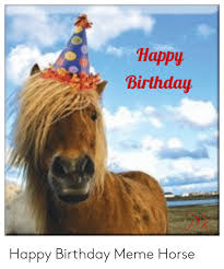 Happy birthday song for horse lovers Horse Happy Birthday Gif