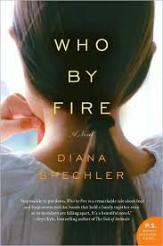 Bits And Ash Were Children When The Kidnapping Of Their Younger Sister Alena An Incident For Which Ash Blames Himself Caused An Irrepar Books Novels Fire Book