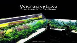 Quote by takashi amano cases & stickers. Aquascaping Martino Agostini