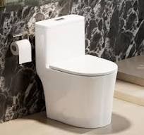 CANEST Compact One Piece Toilet for Bathrooms, Round Small ...