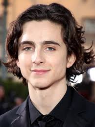 How To Get Timothée Chalamet's Glorious Hair