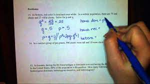 Q2 = 0.36 or 36% b. Hardy Weinberg Problem 1 Youtube