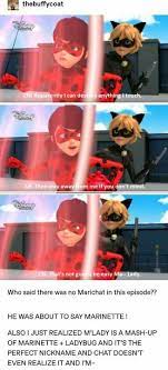 Miraculous Memes Random Pics And Comics In 2021 Miraculous Ladybug Memes Miraculous Ladybug Fanfiction Miraculous