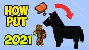 In today's minecraft multiplayer server video, we talk about how to start playing in my public mutliplayer server horsecraft. Minecraft 1 17 1 How To Put A Saddle On A Horse 2021 Youtube