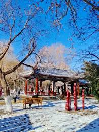 Image result for Ditan