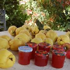 Gelee De Coings Simplissime Recette En 2020 Recette Gelee Gelee De Coing Recette Coing