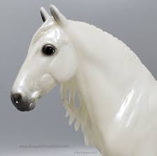 Image result for Thesium breyeri