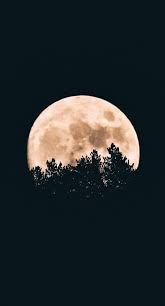 You will definitely choose from a huge number of pictures that option that will suit you exactly! Amoled Wallpaper 52 4k Best Of Wallpapers For Andriod And Ios
