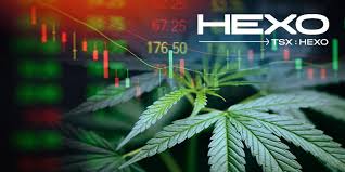 Long term target is around $3. Hexo Positive Developments Boost The Bull Case Says Analyst