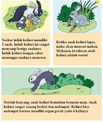 Gambar pantai yang mudah ditirukan. Contoh Gambar Ilustrasi Tentang Hewan Kelinci Dan Organ Geraknya