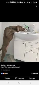 Profile for Pinehurst Dentistry