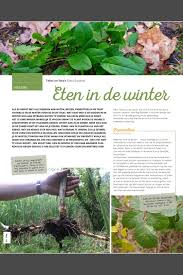 Eten In De Winter Get Out Magazine Eetbare Wilde Planten In De Winter Planten Eetbare Planten Eetbare Bloemen