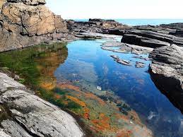Two Lights State Park State Parks Maine Coast Visit Maine
