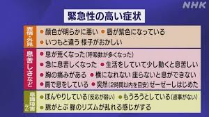 新型コロナ感染症はどんな病気？ どんな症状が出る？ coronavirus talk コロナウイルス対談: è»½çæ£è ç·æ¥æ§é«ã13çç¶ã®ãªã¹ãå¬è¡¨ åå´ç æ°åã³ã­ã Nhkãã¥ã¼ã¹