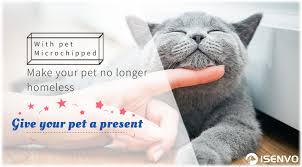 Pet chip registry online is part of a. Pet Chip Registry Help Pets Go Home