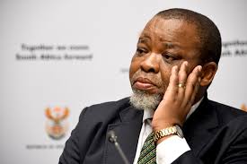 This is what Gwede Mantashe said about Bosasa and Gavin Watson at the Zondo  Commission