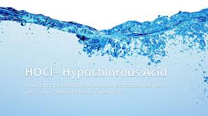 Program and regulatory information about this. What Is Hocl Eco I On