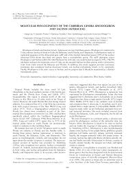 Image result for Porphyrostemma grantii