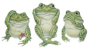 R�sultat de recherche d'images pour "image humoristique grenouille"