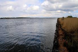 Maybe you would like to learn more about one of these? Voer Fishmaps Angelfuhrer Danemark