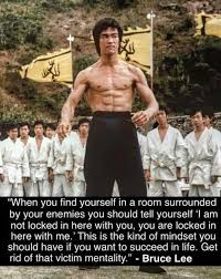 Thank You Bruce Please Tell All Of Covington And Many Of My Charming Arm Chair Psychologist Family Member In 2020 Life Is Too Short Quotes Warrior Quotes Bruce Lee