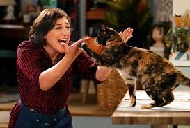 What really goes in between kit kat's crispy wafers (and the answer will surprise you!) Call Me Kat Recap Episode 1 Mayim Bialik Miranda Remake On Fox Tvline