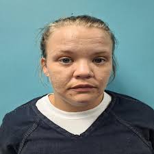 Chasity Lee Wampler Charges: Violation Of Probation/Parole Methamphetamine 