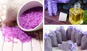Maybe you would like to learn more about one of these? 10 Usos De La Lavanda En El Hogar La Cosmetica Y La Medicina Mejor Con Salud