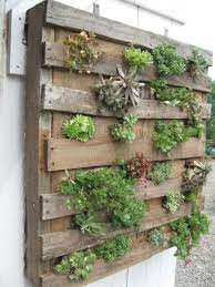 We did not find results for: Simple But Beautiful 37 Diy Pallet Wall Garden Planter Viralinspirations Pallets Garden Vertical Pallet Garden Wood Pallet Planters