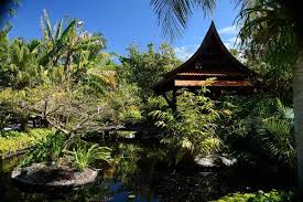 Transformation For Naples Botanical Garden To Bring Shade Water And Foliage