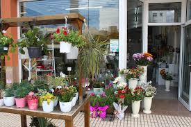 Floristería Los Claveles