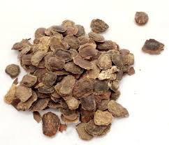 Image result for Dalbergia