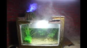 Aquariums Cara Membuat Aquarium Mini Dari Styrofoam In 2020 Aquarium Styrofoam Mini