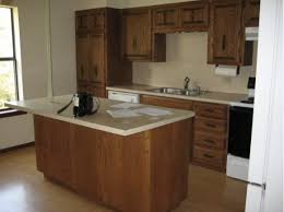 diy ikea kitchen remodel home design