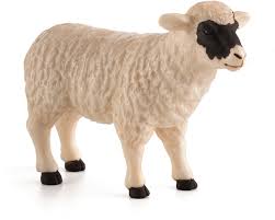 Naturally, pedigree scotch blackface sheep come at a much higher price. Animal Planet Black Faced Sheep Ewe