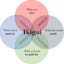 Héctor García, Francesc Miralles - Ikigai: The Japanese Secret to a Long  and Happy Life - Łukasz Langa
