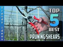 Für einen schönen garten oder balkon. Pruning Shears By Haus Garten Youtube