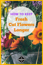 While you trim the stems. How To Help Fresh Cut Flowers Keep Longer Gardening Channel