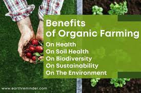 What Are the Benefits of Organic Farming? | Earth Reminder