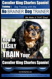 Cavalier King Charles Spaniel Training Dog Training With The No Brainer Dog Trainer We Make It That Easy Ho Cavalier King Charles Dog Training Dog Trainer
