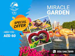 Do You Want To See The Unique Flower Garden In Dubai Miracle Garden Now You Have A Chance To Experi Miracle Garden Different Types Of Flowers Flower Display