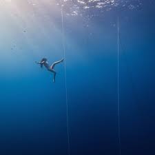 See full list on normalbreathing.com Free Divers Have Long Defied Science And We Still Don T Really Understand How They Go So Deep