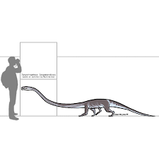 Image result for Tanystropheus