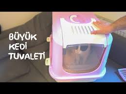 Xxl Kapali Kedi Tuvaleti Montaj Ve Inceleme Youtube