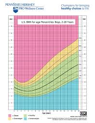 organized marine corps body composition standards body fat