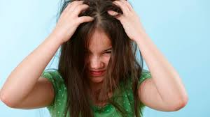 Le hair lamination sublime la moindre chevelure terne. Anti Poux Les Remedes Naturels Femme Actuelle Le Mag