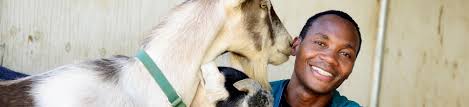 2,564 all pets veterinary center jobs available on indeed.com. Veterinary Hospital School Of Veterinary Medicine
