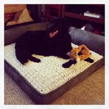 The removable (zipper) cover is machine washable. Costco Dog Bed Dog Bed Doggy Shag Rug
