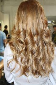 Sofia vergara's shade might be the one for you. Caramel Sofia Vergara Hair Color Novocom Top